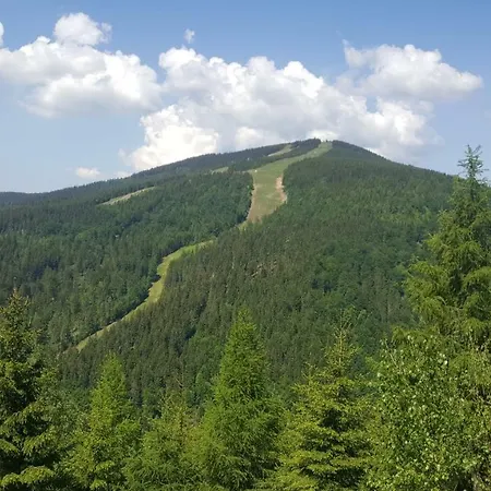 公寓 Medvedin 307 Špindlerŭv Mlýn